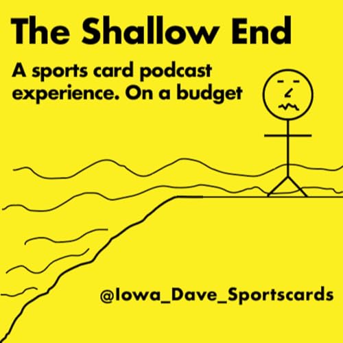 The Shallow End Podcast Por david.asa.schwartz arte de portada