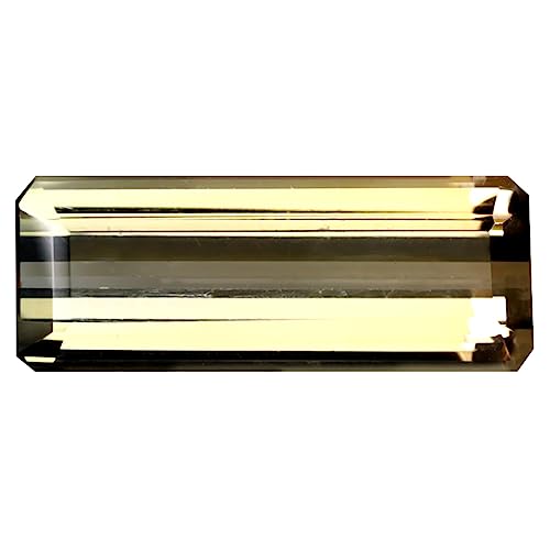 Tourmaline bicolore véritable joyau naturel non traité pour amateurs de rareté