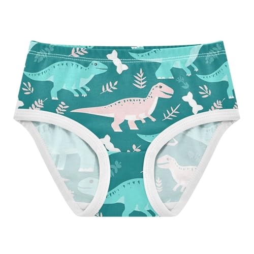 Wusikd Teal Dinosaurs Girls' Underwear Cotton White Bones Girls Briefs Soft Toddler Underwear 2T