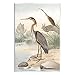 Stupell Industries Wild Heron Birds Perched Scenic Grassy Creek Wood Wall Art, Design By Piddix