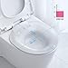 Baños de Asiento/Bidet para Inodoro - Bidé Portátil para Baño de Asiento...