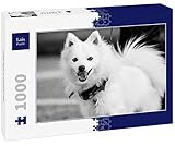 Lais Puzzle Japon Spitz en Noir et Blanc 1000 pièces