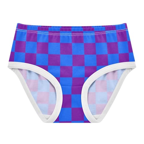 Navy and Purple Buffalo Checkered Toddler Girls's Underwear 2T