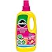 Price comparison product image Miracle-Gro Azalea, Camellia & Rhododendron Concentrated Liquid Plant Food, 1 Litre
