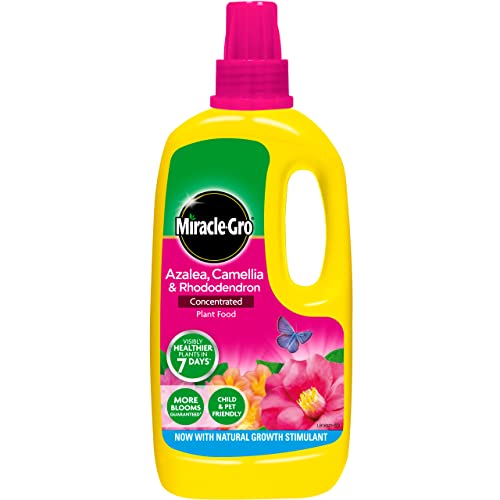 Miracle-Gro Azalea Camellia & Rhododendron Concentrated Liquid Plant Food 1 Litre