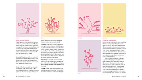 Roses Without Chemicals: 150 Disease-Free Varieties That Will Change The Way You Grow Roses #TOP7