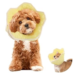 Hombys Soft Recovery Cone for Pets - Adjustable, Breathable Collar for Large, Medium, Small Dogs & Cats After Surgery, (L) Hombys Soft Recovery Cone for Pets Adjustable Breathable Collar for Large Medium Small Dogs Cats After Surgery L