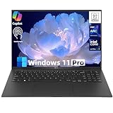 LG 55XF3P-B gram 17” Touch Screen (2560 x 1600) Copilot+ PC Laptop, Intel Core Ultra 7 258V, Windows 11 Pro, 32GB RAM, 1TB SSD, Black