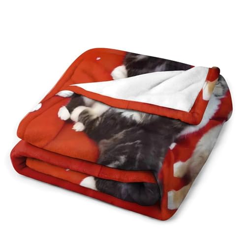 Grande couverture micro polaire chat chaude légère plaid lit canapé