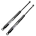 ECCPP Rear Trunk Lift Supports Struts Rods Shocks for 1989-1995 BMW 525i,1994-1995 BMW 530i,1985-1993 BMW 535i,1994-1995 BMW 540i,1991-1993 BMW M5 Compatible with 4472 Strut Set of 2