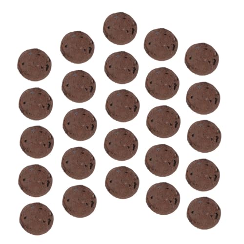 Sacchetto di Pietra D'argilla Decorativa per Rocce Succulente Ciottoli per Bonsai E Piante in Vaso Substrato per Cactus E Piantine