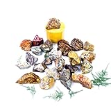 天然石 ミニメノウ ゴビ彩石 裸石 小粒 混色 パワーストーン アクアリウム用 クラッシュストーン 浄化用 DIY 手芸材料 720g「約13～15個」