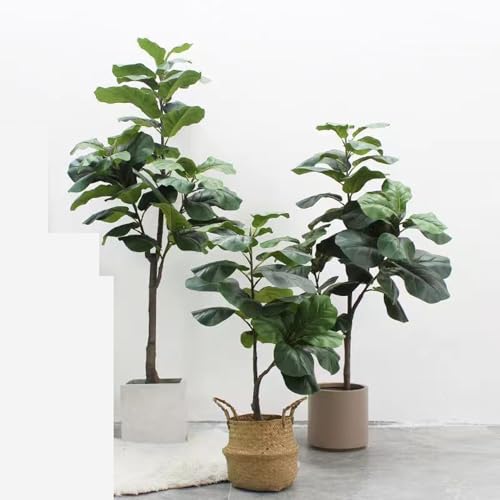 [LJKI] tFCNO[ Ex[^ ^  A AK̖ O  CeA  rO  A210cm ItBX j ϗtA sv lHϗtA lHϗt 傫 ze [ bȂ ̓ 