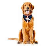 NFL Denver Broncos Pet Bandanna, XL