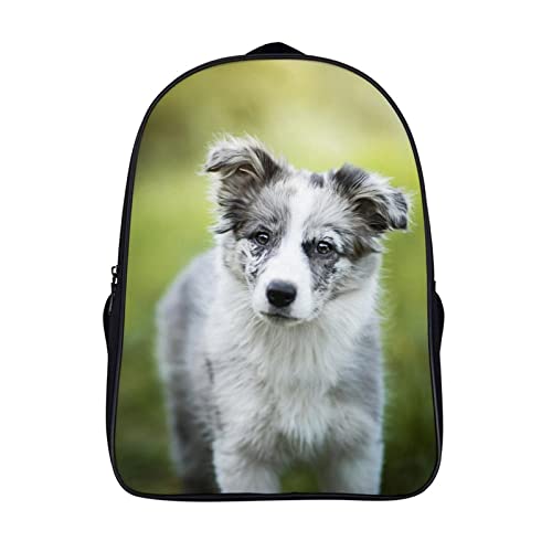Sac à dos d'école Australian Shepherd pour enfants unisexe cartable 3D grand format 40x28x16cm