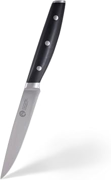 MasterChef Kitchen Utility Knife with High Carbon Stainless Steel Blade and Triple Riveted Handles, Professional Chef Knife for Precision Cooking at Home, Perfectly Balanced, Razor Sharp, 24cm 9.5"