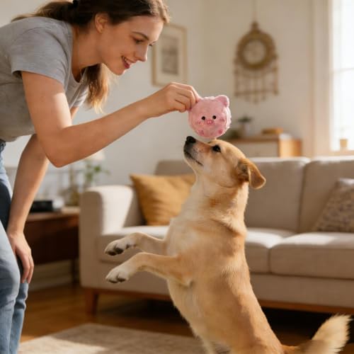Quietschende Spielbälle Für Kleine Hunde Plüschtier Kauspielzeuge, Plüschbälle Mit Tierdesign | Geeignet Für Outdoor-Aktivitäten Garten Park Camping Training Und Spielen In Der-2