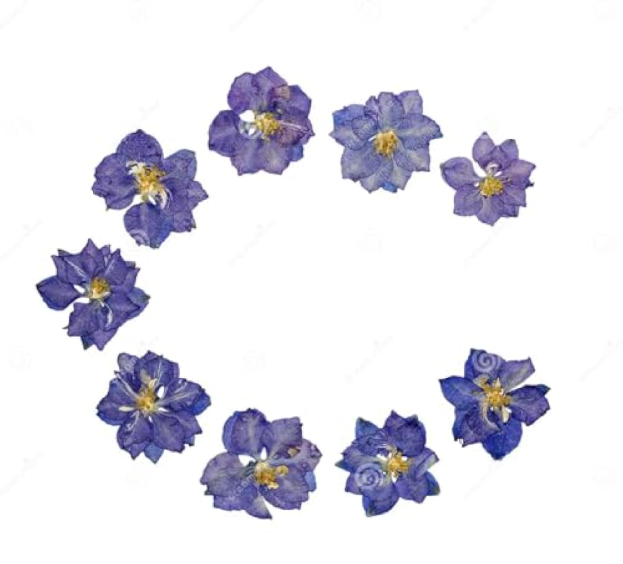 Natural Real Dried & Pressed Flowers for Art Craft, Mixed Colors