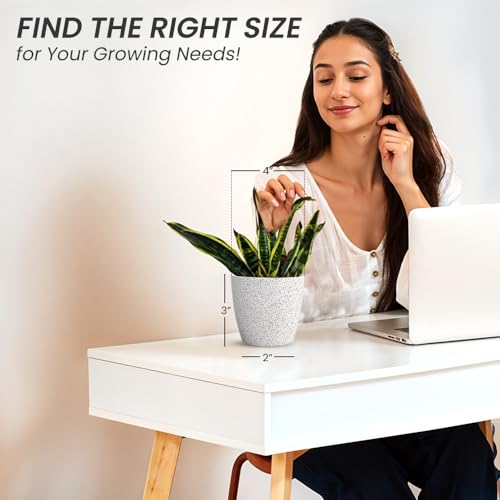 Image of YUCCABE ITALIA SHERA Stella 4 Inch Plastic Plant Pot for Home Decor Indoor Plant Pots for Living Room Plastic Flower Pot for Garden (Marble White, 4 INCH - 2 Pcs)