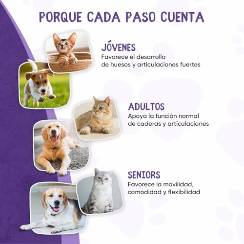 Miniatura 7 de Condroprotector para Perros y Gatos, 120 Masticables - Comprimidos para Cadera y Articulaciones de Perros Grandes y Pequeños - Huesos con Condroitina, Glucosamina, MSM, Ácido Hialurónico y Cúrcuma