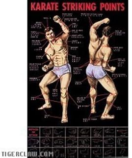 Arts Gear Karate Striking Points Posters
