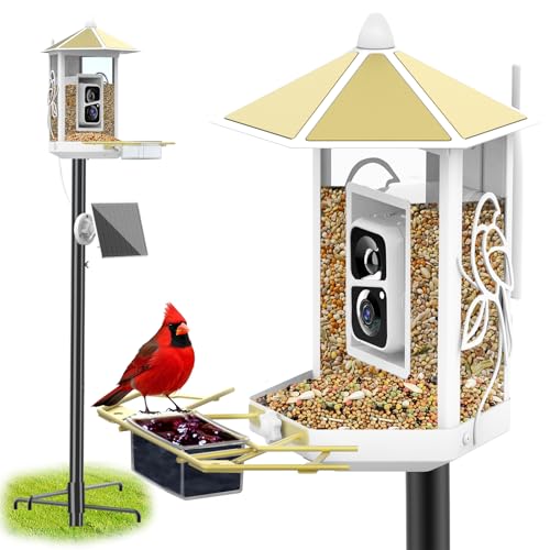 Metal Bird Feeder Camera with 74.5 Inch Pole - Smart Camera Bird Feeder Solar Powered with 2K Live Stream for Backyard, AI Auto Capture Videos, Motion Detection, Gifts for Birdlover Mom Dad
