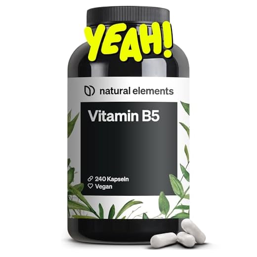 Vitamin B5 – 240 Kapseln - hochdosierte 500 mg Pantothensäure – vegan – in Deutschland produziert & laborgeprüft