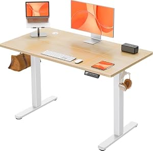 ErGear Escritorio Elevable Eléctrico, Escritorio Ajustable en Altura 120 x 60 cm, Mesa Elevable con Panel Inteligente de 4 Memorias, Mesa Escritorio Oficina en Casa con Tablero Ensamblado