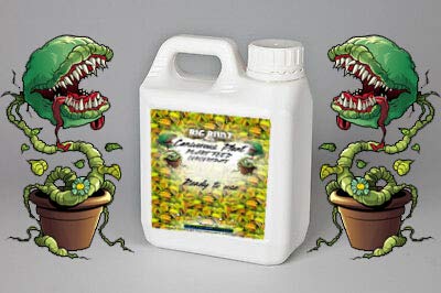 BIG BUDZ ROCK HARD Venus FlyTrap FOOD 1 ltr CONCENTRATE Carnivorous Plant feed perfect! 1LTR +PIPETTE EASY