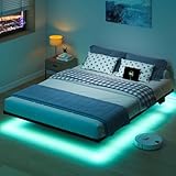 HAVONIZD Floating Bed Frame Queen with LED Lights and Charging Station - 8 inch Platform Bed Frame No Box Spring Needed, Easy Assembly