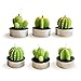 Cactus Candles, Luvu Mini Cute Tealight Candles for Christmas, Home, Decor, Gift, Birthday, Party, Wedding 6 Pcs (Gift Wrap)