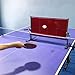 DonHeK Table Tennis Rebound Board,Desktop and Floor-Standing Table Tennis Return Board,Self-Study Traine Equipment Suitable for Home Gym Community Studio (Size : Style 3)