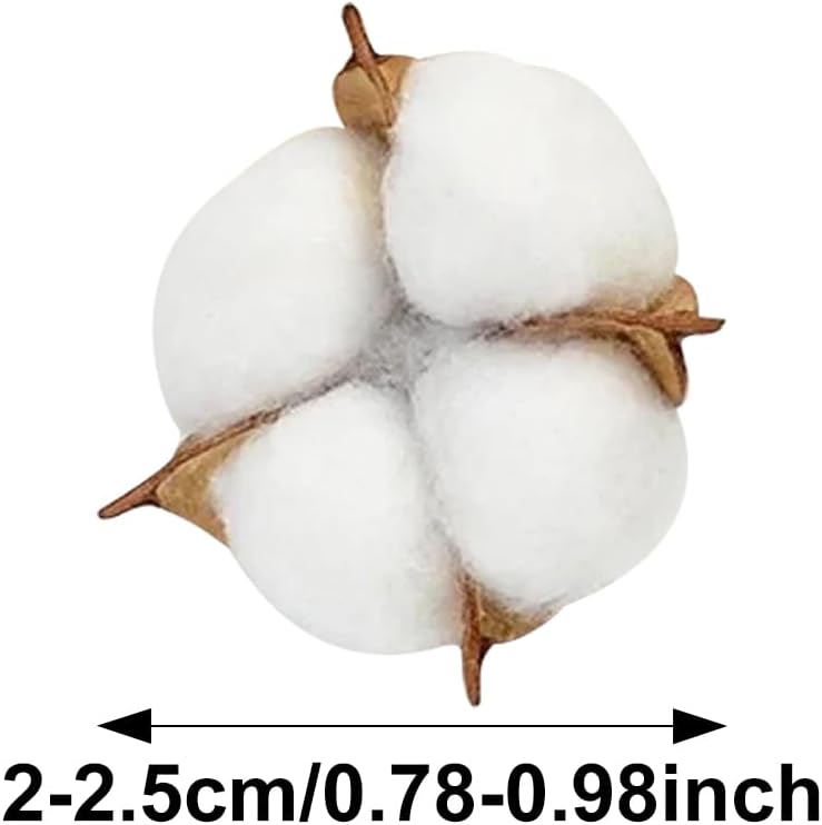 10Pcs Artificial Kapok Dry Cotton Head Dried Flower Branches Flower DIY Bouquet Ornament Cake Decoration Christmas Accessories