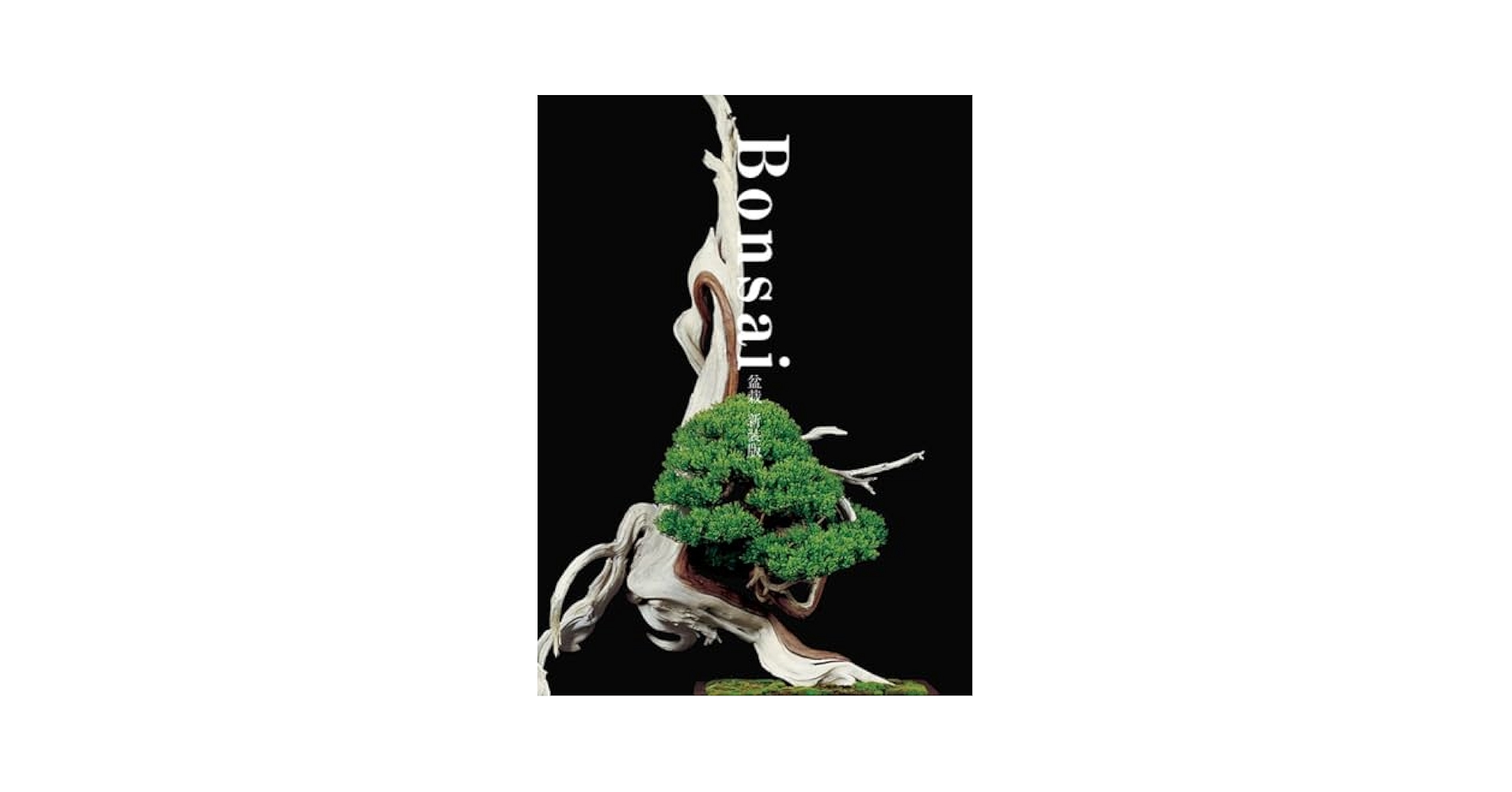 CLASSIC BONSAI of JAPAN ジョン・ベスター訳日本盆栽名品集