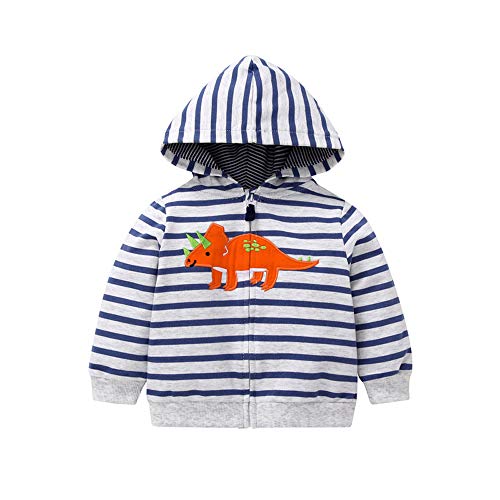 0-3 Years Old Toddler Baby Boys Girls Long Sleeve Cartoon Dinosaur Printed Hoodies Kids Infant Cute Warm Sweatshirt Zip-up Jacket Coat (12-18M, Stripe Dinosaur)