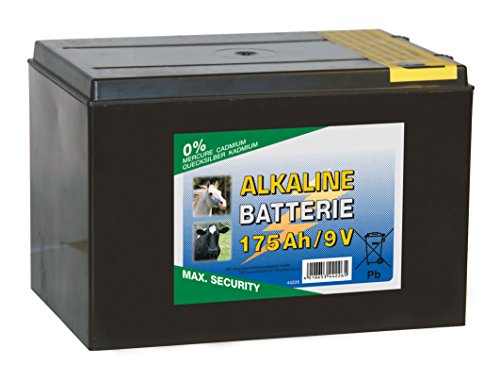 Corral TR-CRL0030 Pile Alcaline Sec Transparent 175 Ah