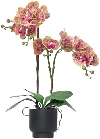 CXGS Orchids Artificial Flowers Rea...
