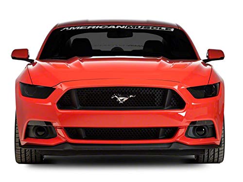 Amazon.com: SpeedForm Smoked Tint Kit Menacing Appearance Styling