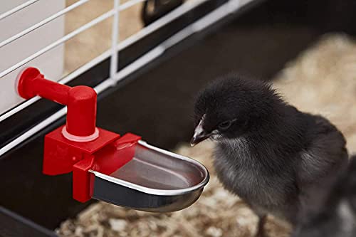 No-Drip 32 Oz Small Animal Drinking Bottle With Metal Cup For Small Pet/Bunny/Ferret/Hamster/Guinea Pig/Rabbit/Chinchilla/Mouse/Rat. Bpa-Free. #TOP3