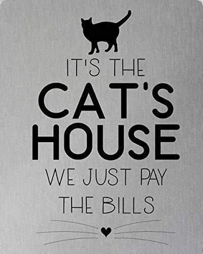 Targhetta in metallo con scritta in lingua inglese "TOCMANE It's The Cat's House", per interni ed esterni, per casa, bar, cucina, caffè, cucina, 20,3 x 30,5 cm