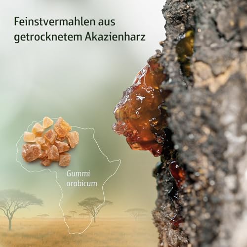 Akazienfaser Pulver Bio - 500 g - 80% Ballaststoffanteil - 50 Tage Vorrat - Bio-zertifiziert & Natürlich rein - Ohne Zusätze