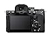 Sony Alpha 7 V Full-Frame Hybrid Mirrorless Camera: 30fps Blackout-Free Shooting, AI Autofocus, 5-Axis in-Body Stabilization (Body only)