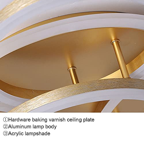 Lichtsse Lampadario LED Moderno con 3 Colori