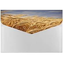 Plastic File Folders with Snap,Wheat Harvest Clear Folders File Bags File Organiser File Wallet Expandable File Folder, Document Storage Organizer