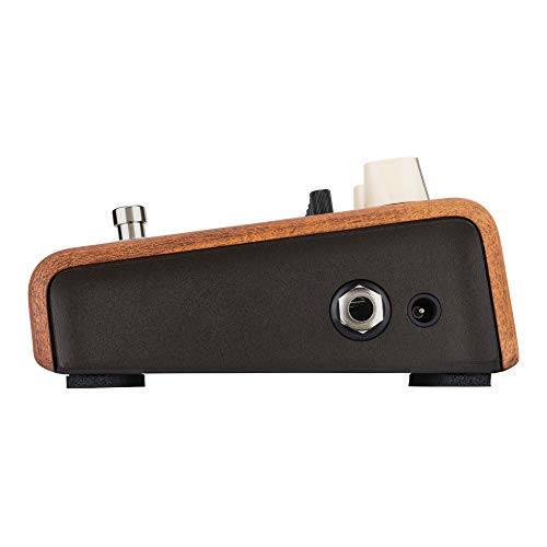 L.R. Baggs Equalizer Align Pédale pour guitare acoustique - Les Beatles, Paul McCartney, John Lennon, RIngo Starr, George Harrison L.R. Baggs Equalizer Align Pédale pour guitare acoustique – Image 6