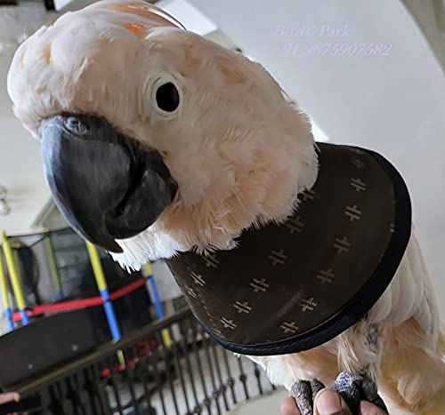 Cockatoo Elizabeth Anti Bite Collars for Medication for Surgery and Recovery - 2 pcs Set- Feather Picking, Scratching, Biting, and Other self-inflicted Wounds. Padded Neck; Adjustable Collar. (B0942DH8Y4) Amazon Price History, Amazon Price Tracker