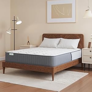 Hybrid Queen Mattress 12 Inch, Made...