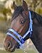Monty Roberts Official Dually Training Halter Large/Draft (with Free DVD)