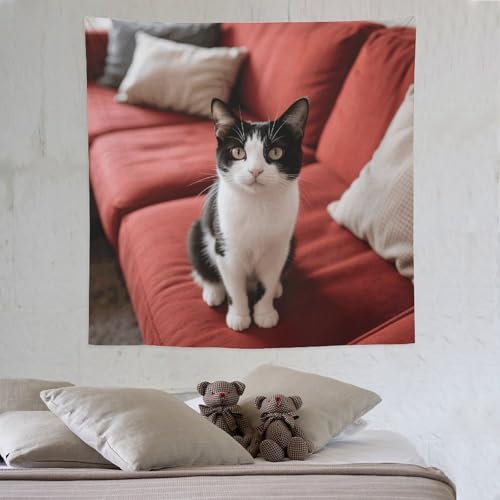 Tapisserie murale bohème chat pour créer un coin lecture cosy dans votre chambre - 5