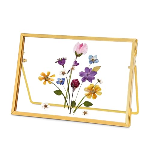 REDHUGO Glass Pressed Flower Frame Handmade, Glass Picture Frame Tabletop Floating Picture Frames Brass Photo Desk Frame for DIY Dried Flowers Home Plant Specimen, Rectangle Horizontal (FRAME ONLY)